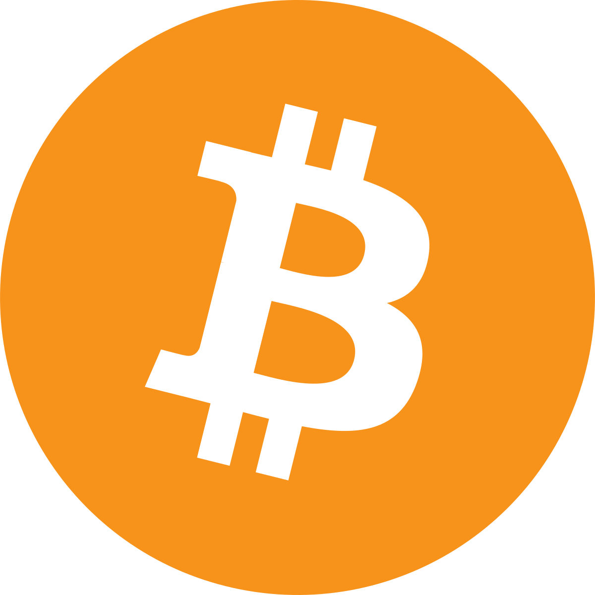 đối tác chính thức bitcoin